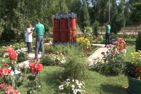 Оцењивање дворишта у Зајечару